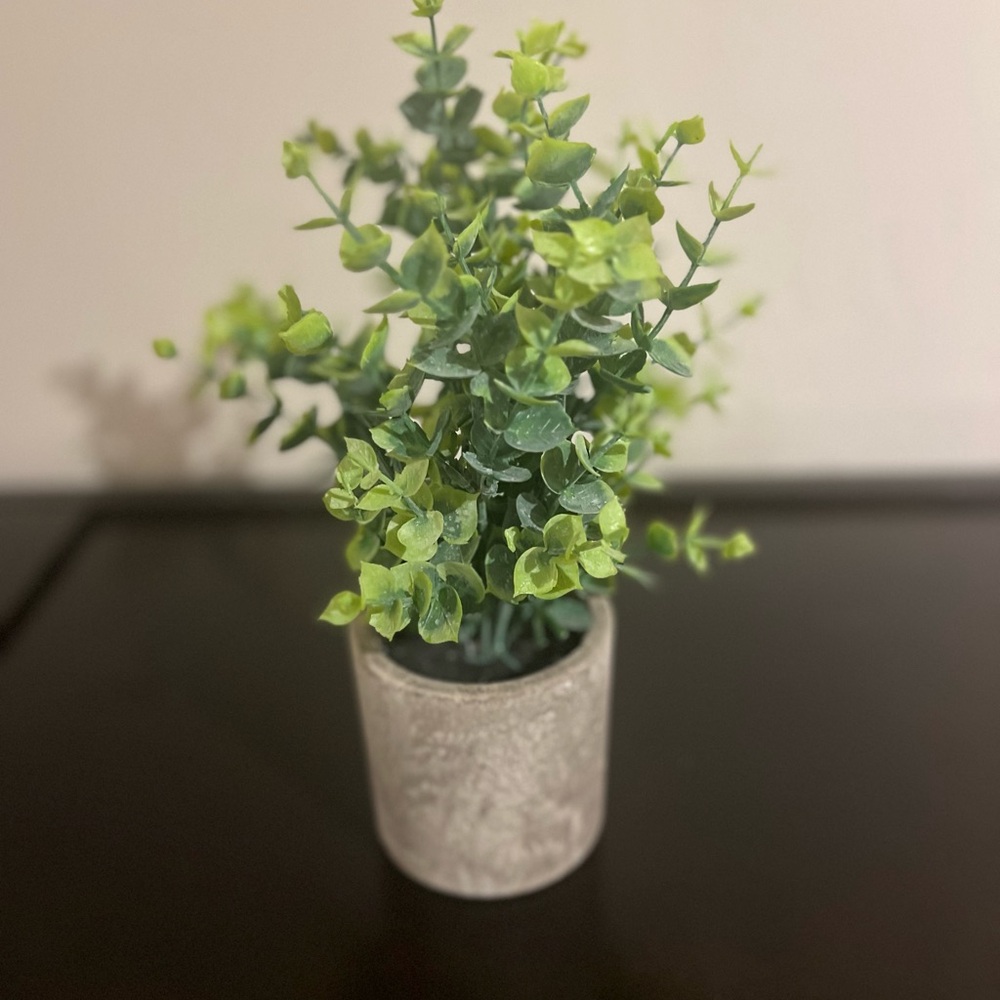 Small fake  plant. Light weight.